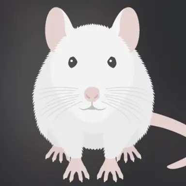 Profile image of ネズミちゃん