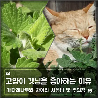 Profile image of 티밍러들