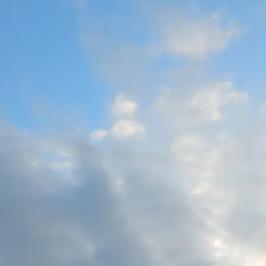 Profile image of 구구샘