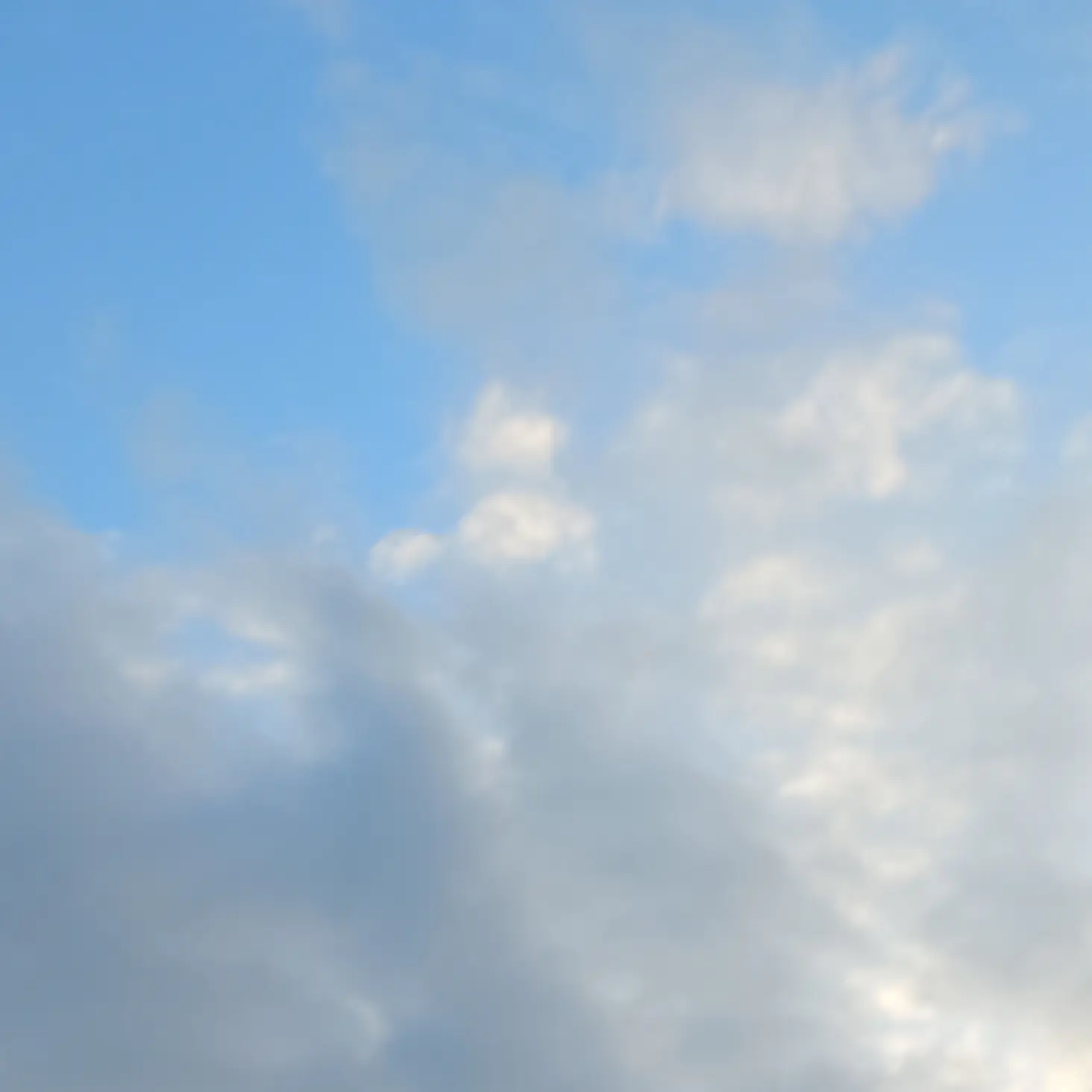 LovedBrick7462의 일등미디어&급식왕