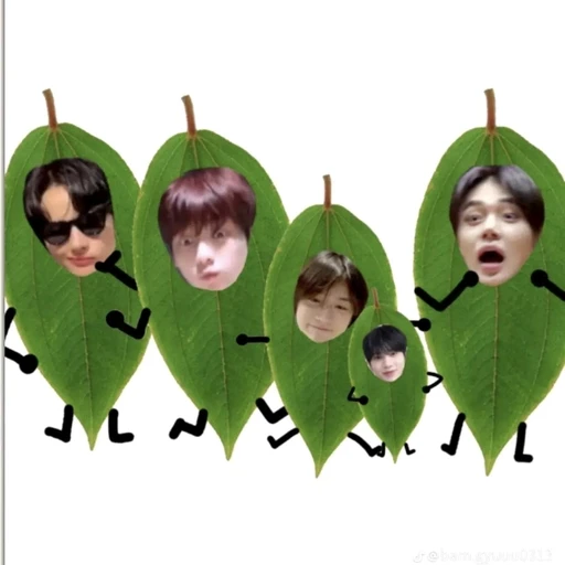 투바투 가족