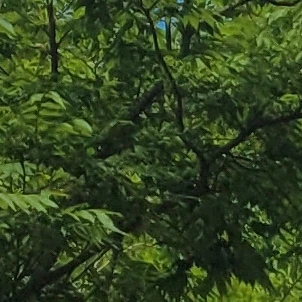 박아무개