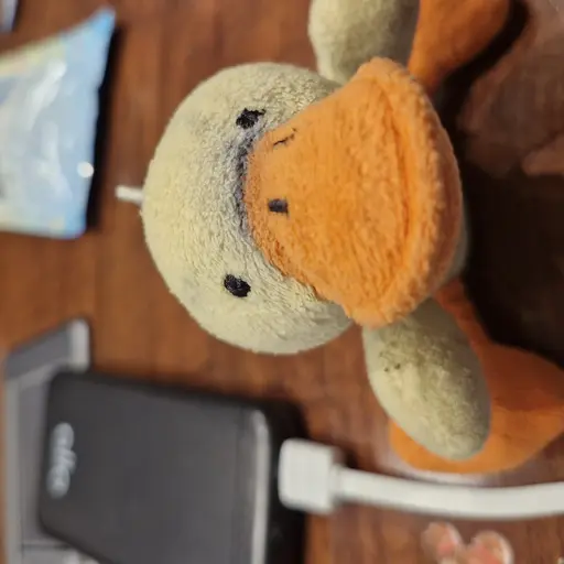 GloomyJade3680의 계란이