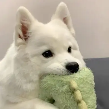 Profile image of 김민정