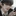 최민수
