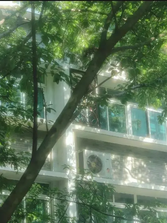 DeafGorge2041의 청춘의 금이 간 날