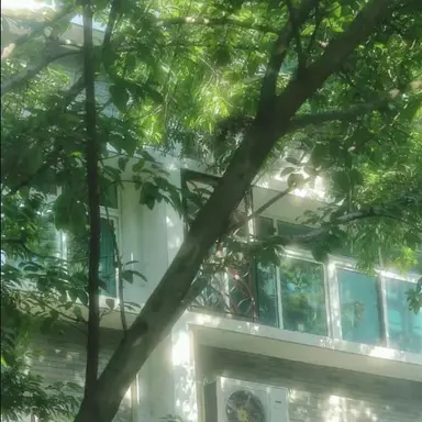 Profile image of 정공룡