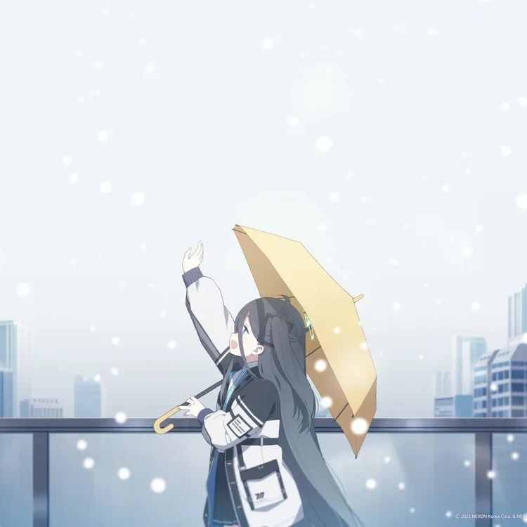 아리스