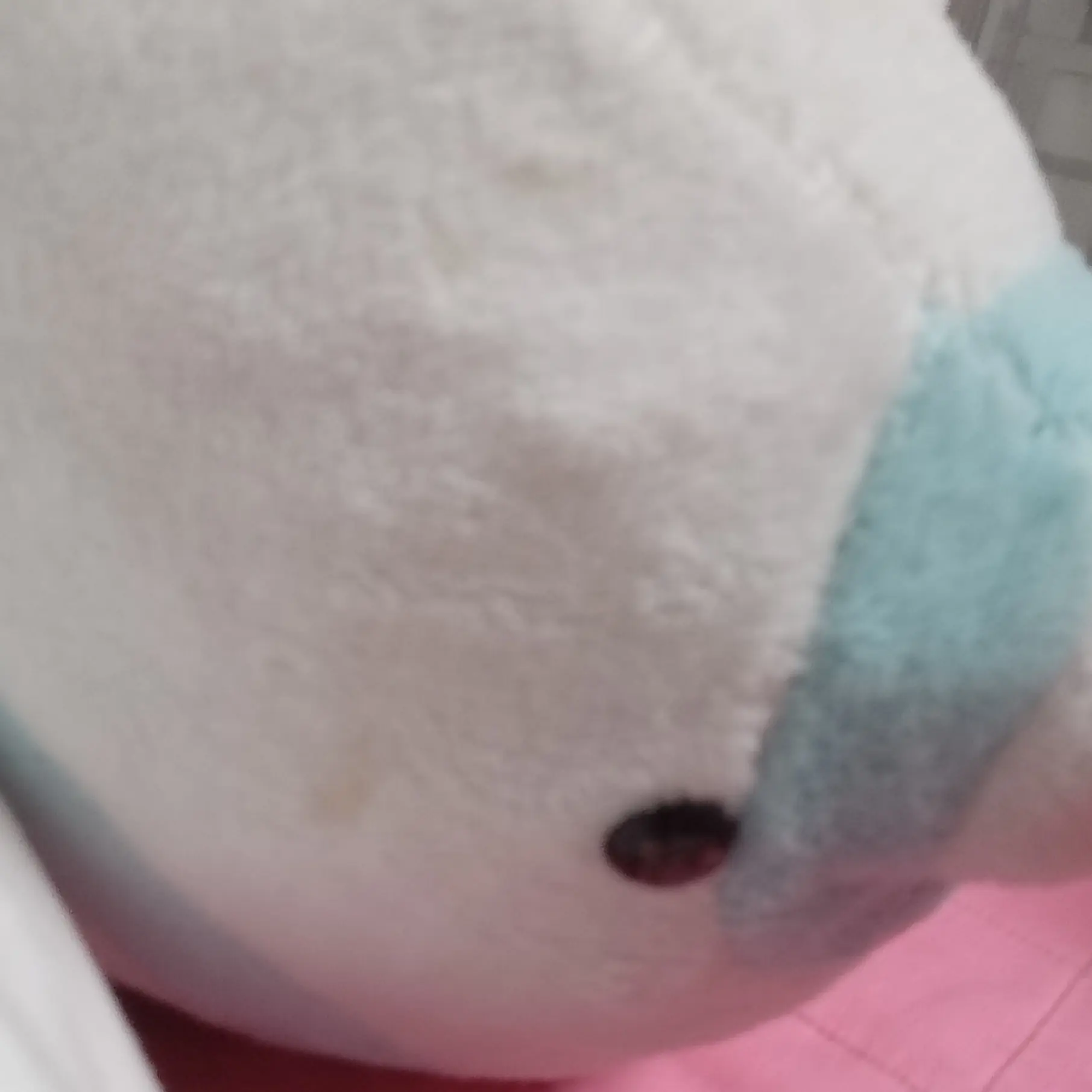 SpicySocks5950의 잠뜰이 여사친이다