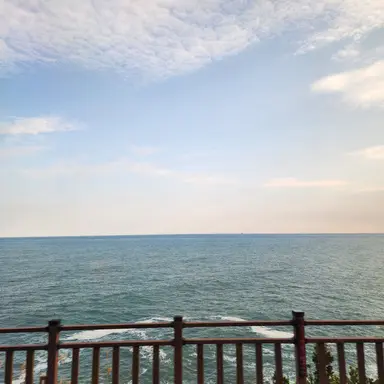 Profile image of 파이브