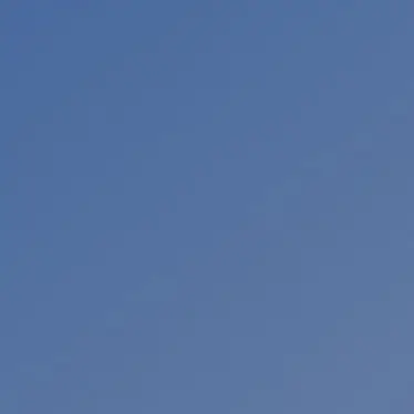 Profile image of 연