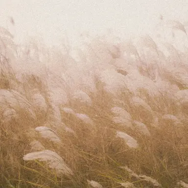 Profile image of 전해