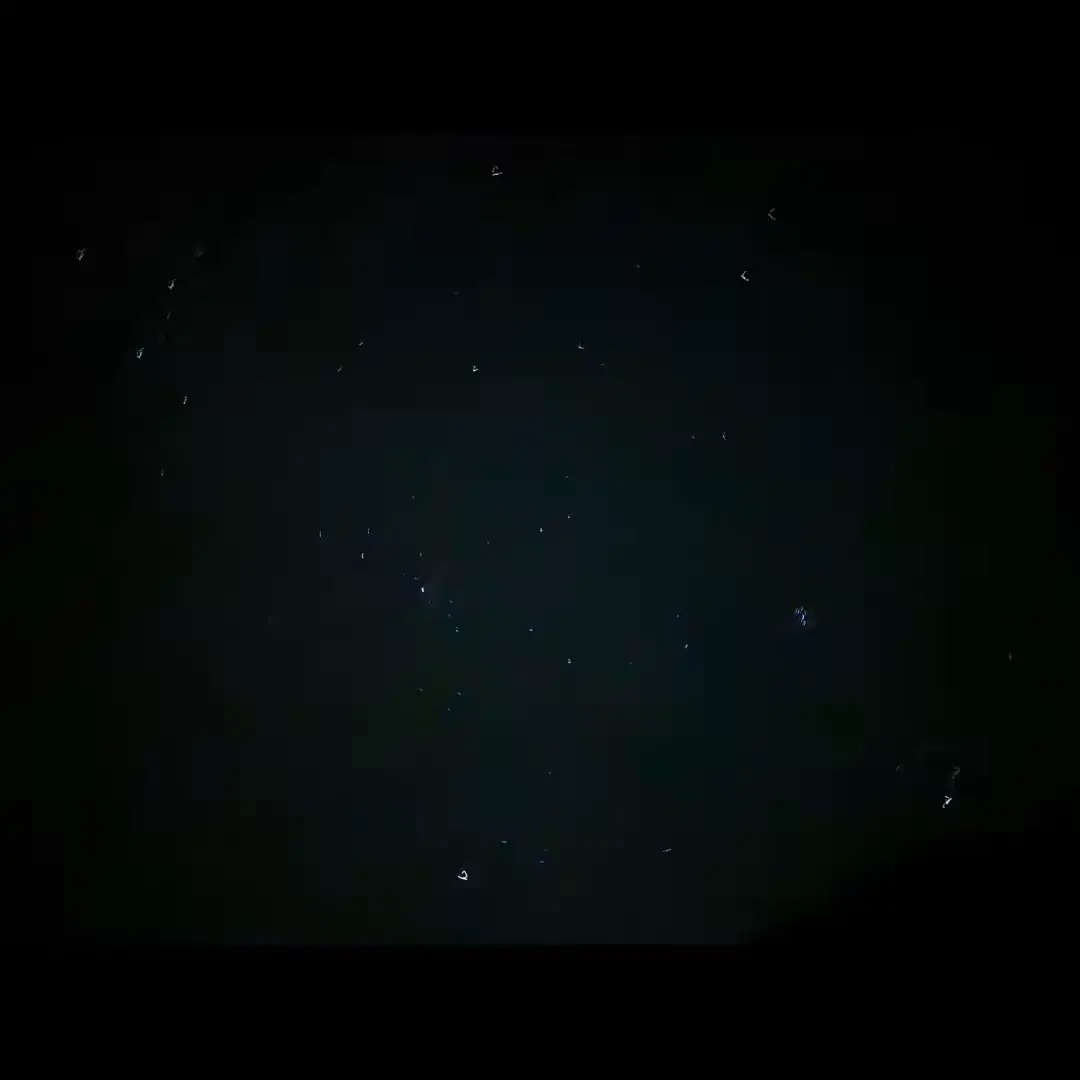 ScenicLily9416의 임쿠빈