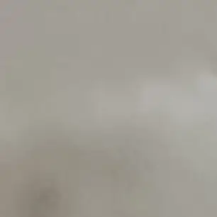 ShyBroom4852의 황현진