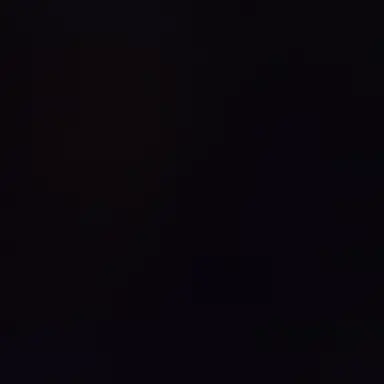 Profile image of 권숝영