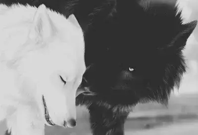 LilacPool2079의 Cregan Stark