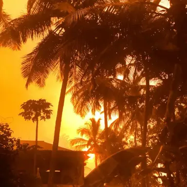 Profile image of Dianna Vale