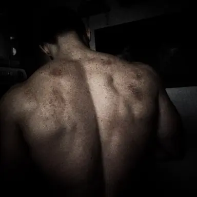 Profile image of Sebastian