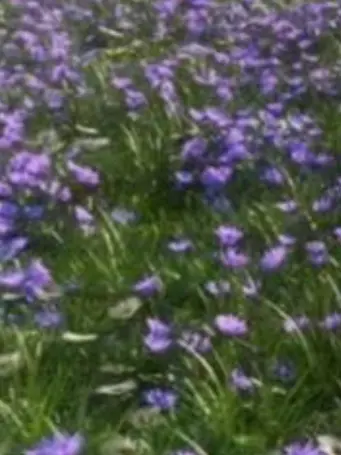 FluffyClamp7120의 ≫監禁≪（v3）