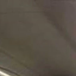 중증외상센터