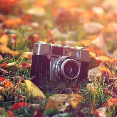 Profile image of 康二