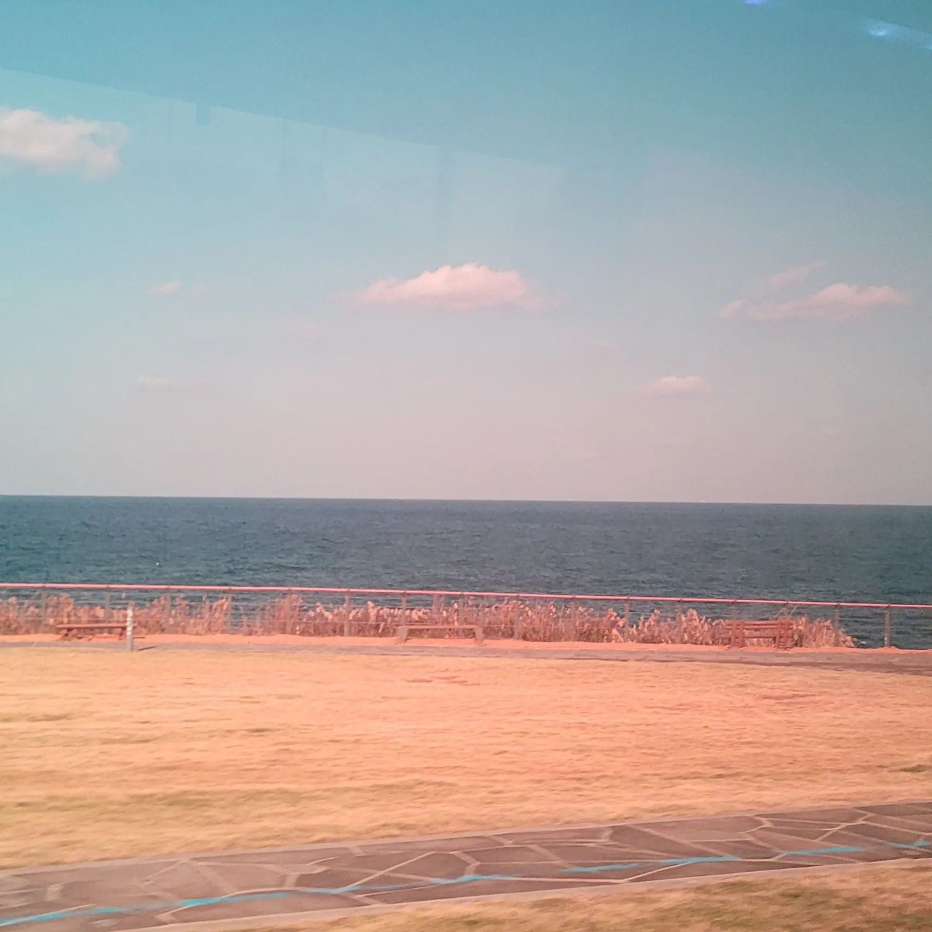 WiseCrown2117의 뜰팁 고등학교+여우