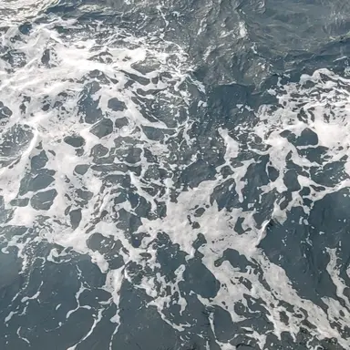 Profile image of 잠뜰