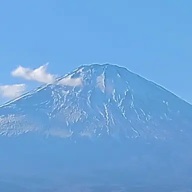 Profile image of ねお