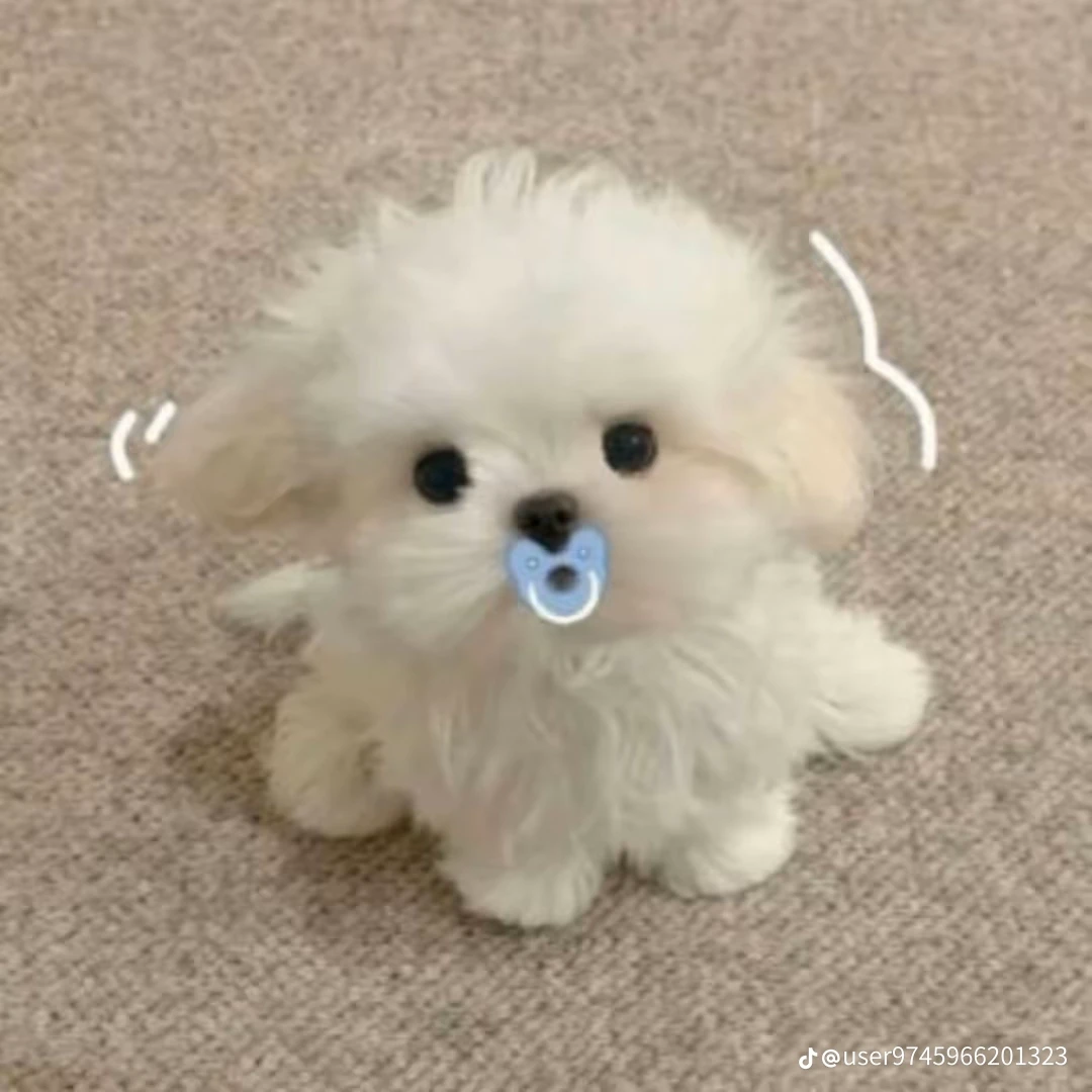 오빠 친구들