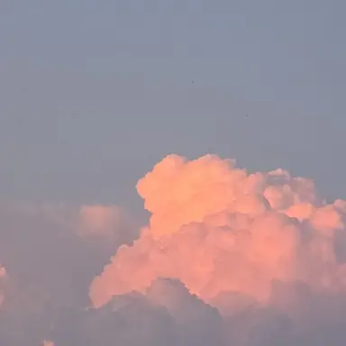 Profile image of チャーリー