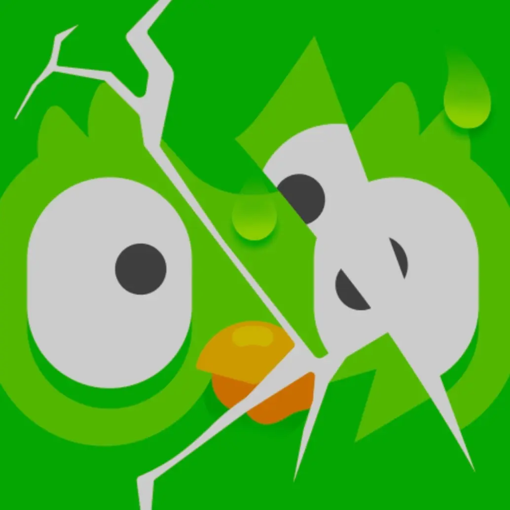 likefantasy의 듀오링고
