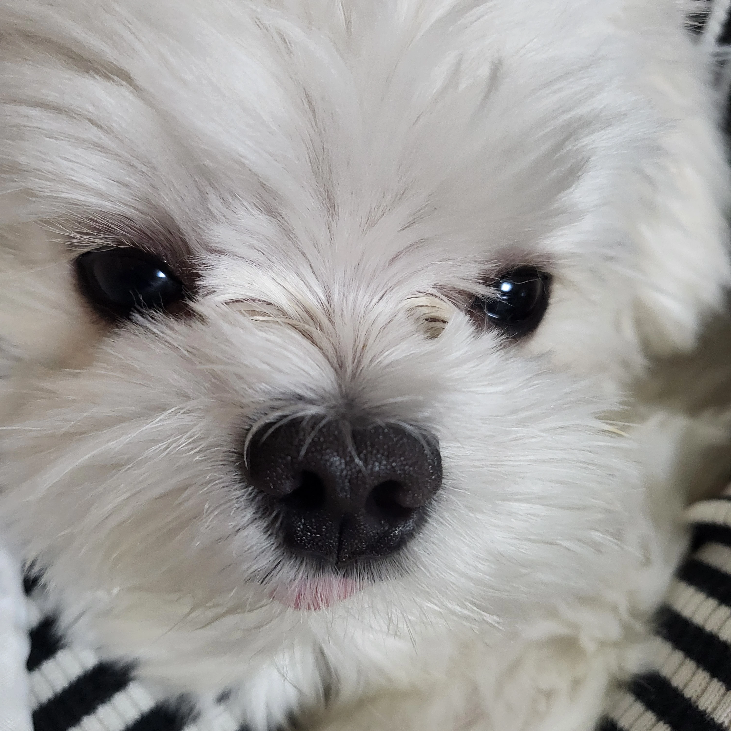 정용식
