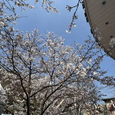 Profile image of 김독자