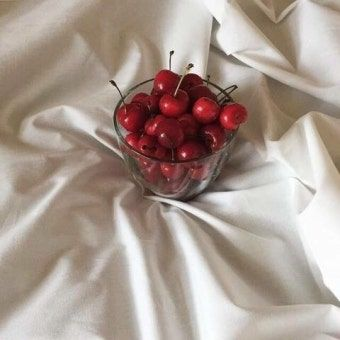 팀나빠(+여우) 대표 이미지