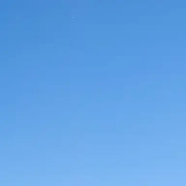 Profile image of 黒猫