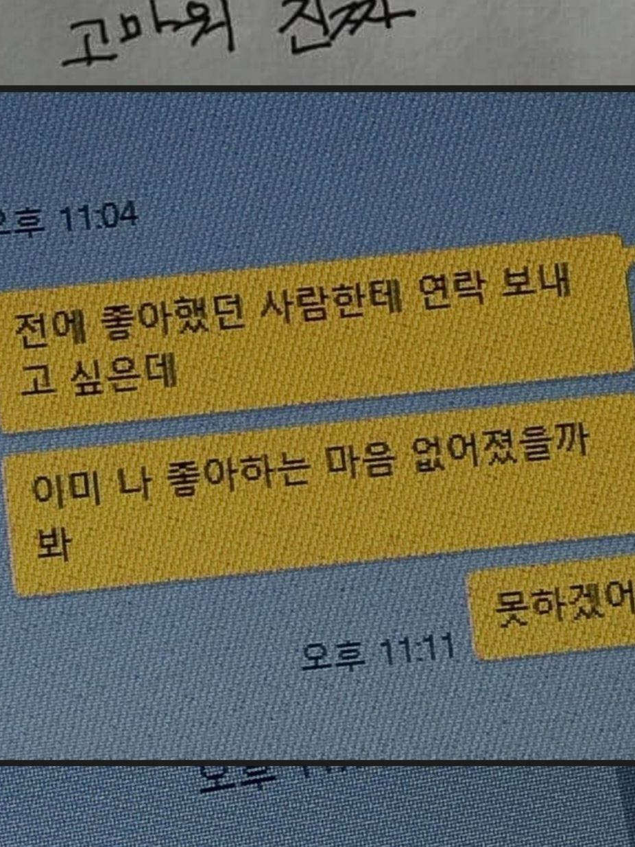 정세비 대표 이미지