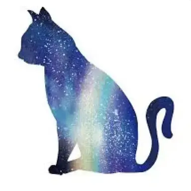 Profile image of ステラ