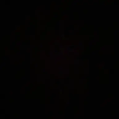 Profile image of 김동현