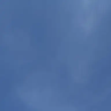 Profile image of 吉田正尚