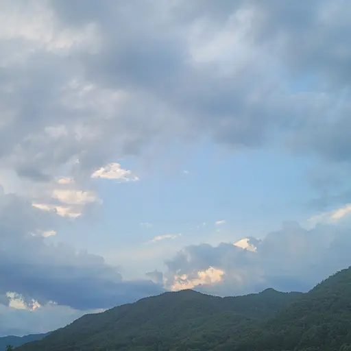 Luvs의 낙빙하