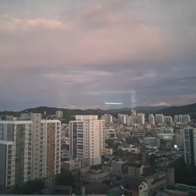 Profile image of 채스터