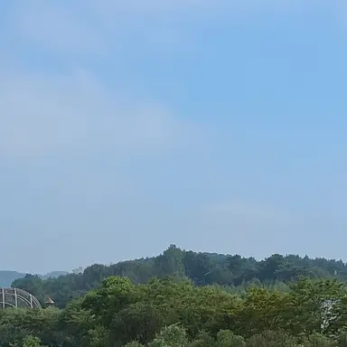 Profile image of 곰숭