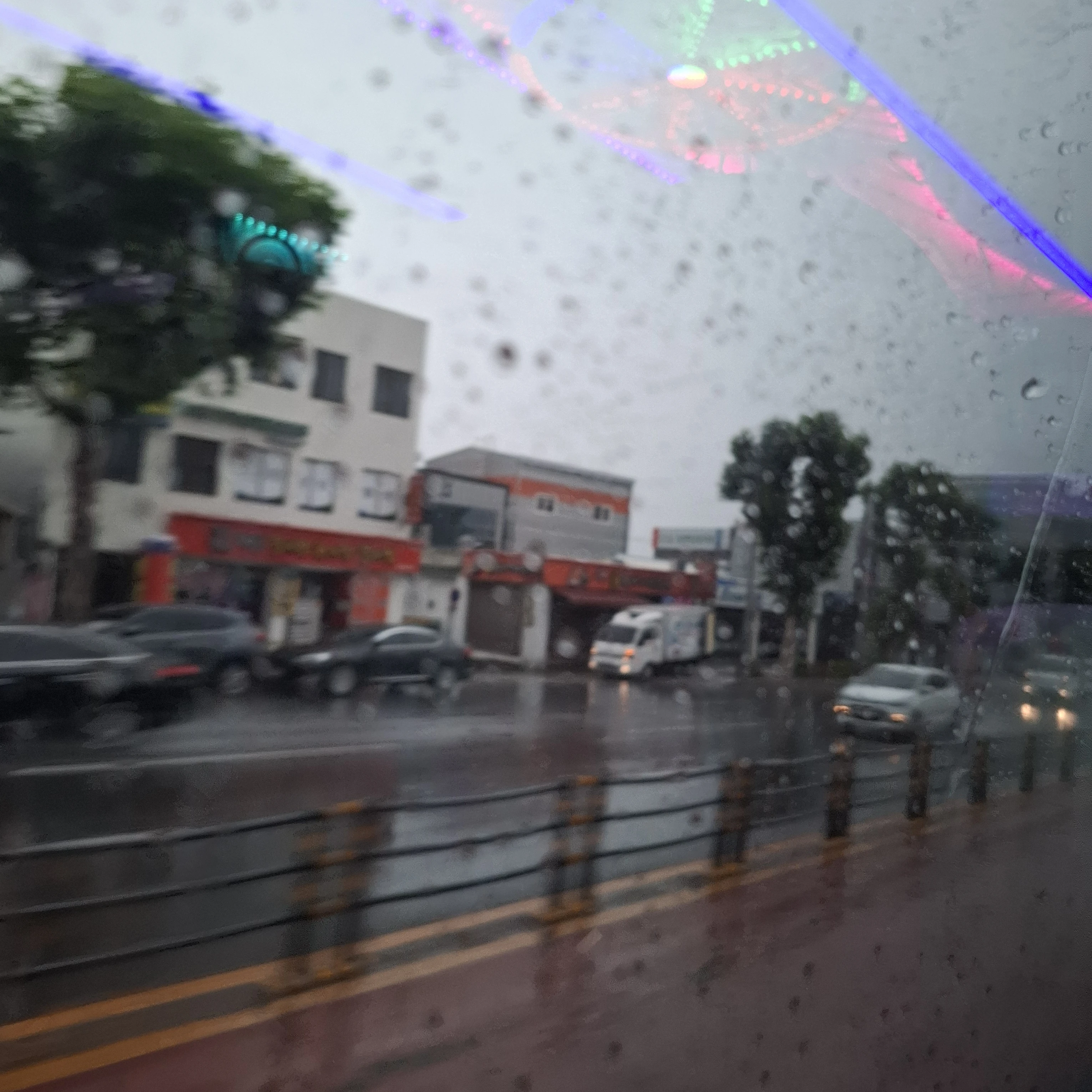 도영