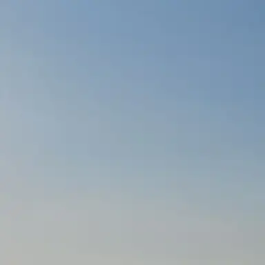 Profile image of 동영배