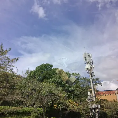 Profile image of 유지민