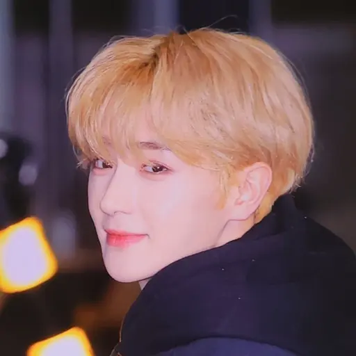 RainyFossa1721의 이재현