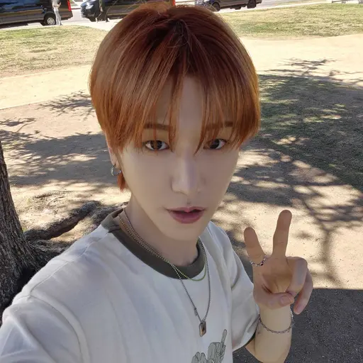 Alsrud116의 이상혁