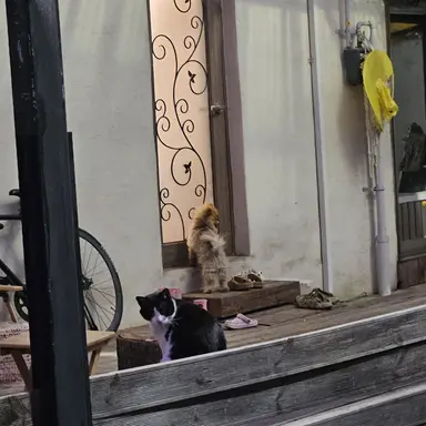 Profile image of 남기준