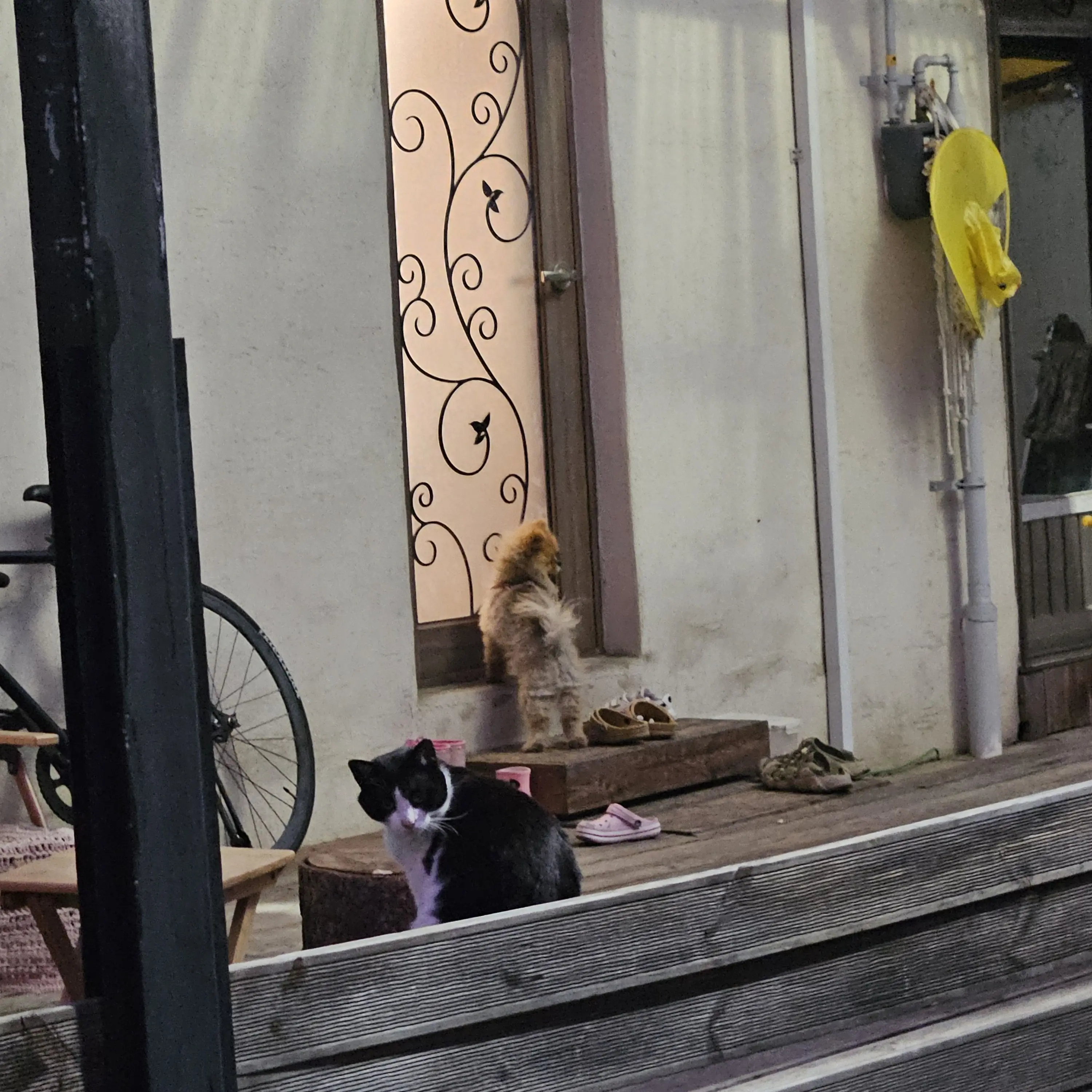 TriteMoose6911의 남기준