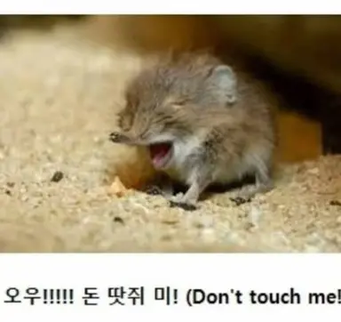 Profile image of 이여우
